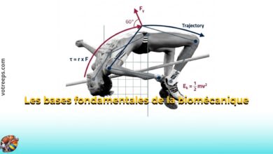 Les bases fondamentales de la biomécanique