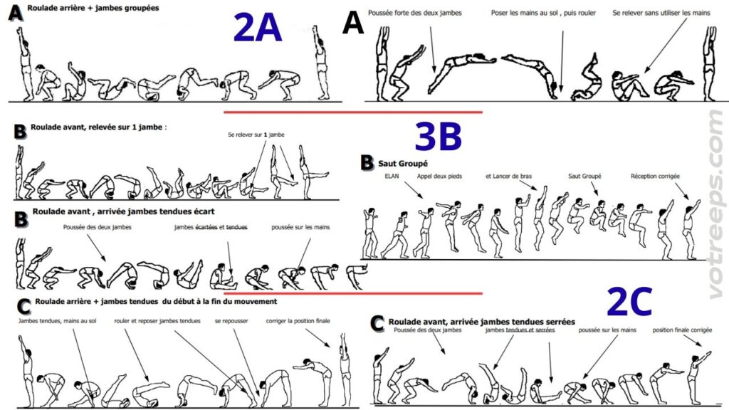 L’enchaînement Des 7 éléments gymniques