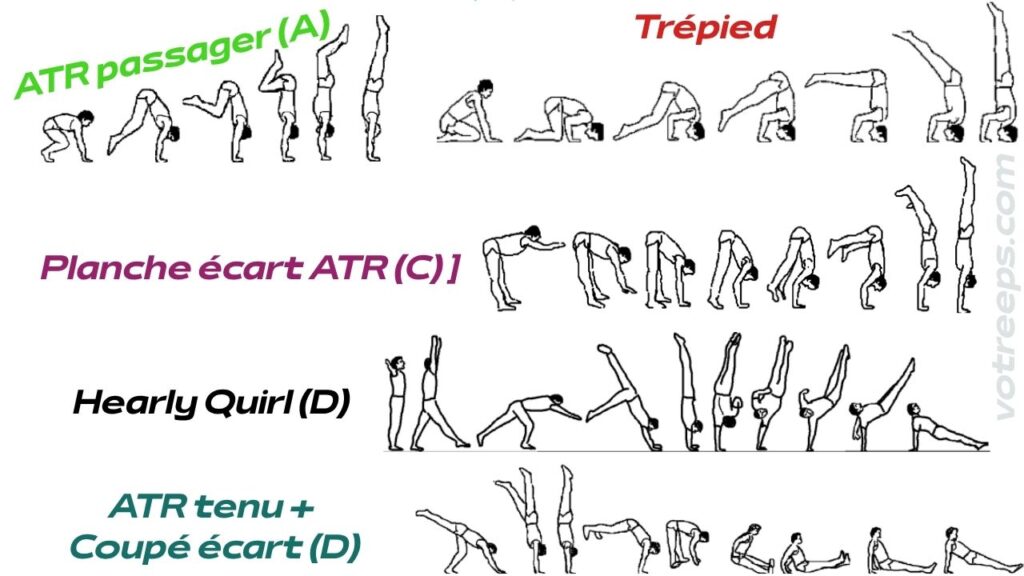 Les Renversements en GYM