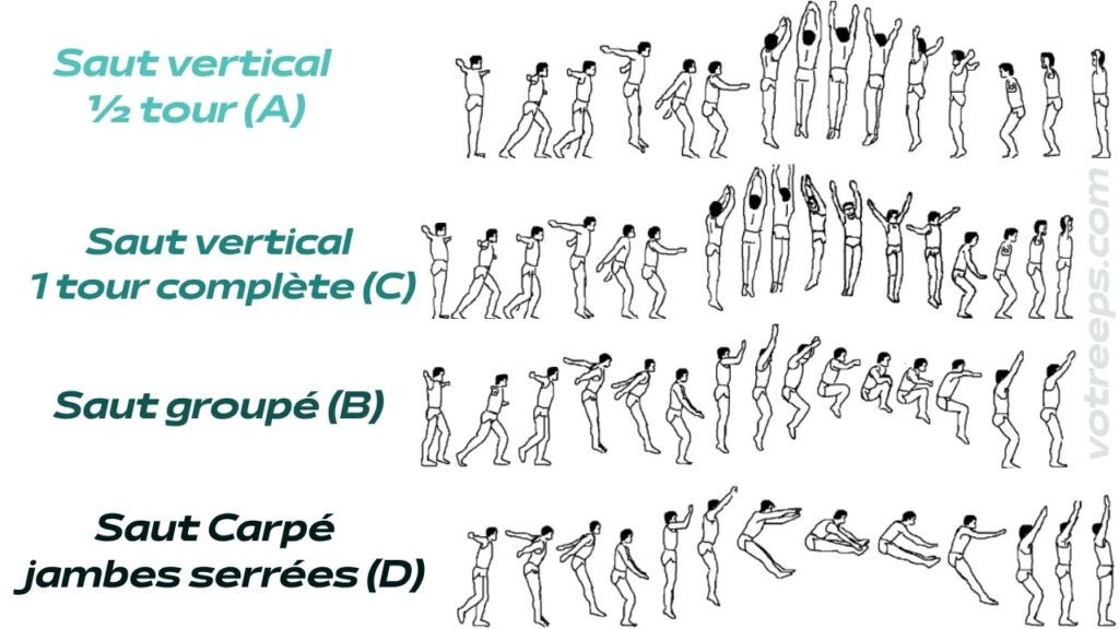 Les Sauts en Gymnastique