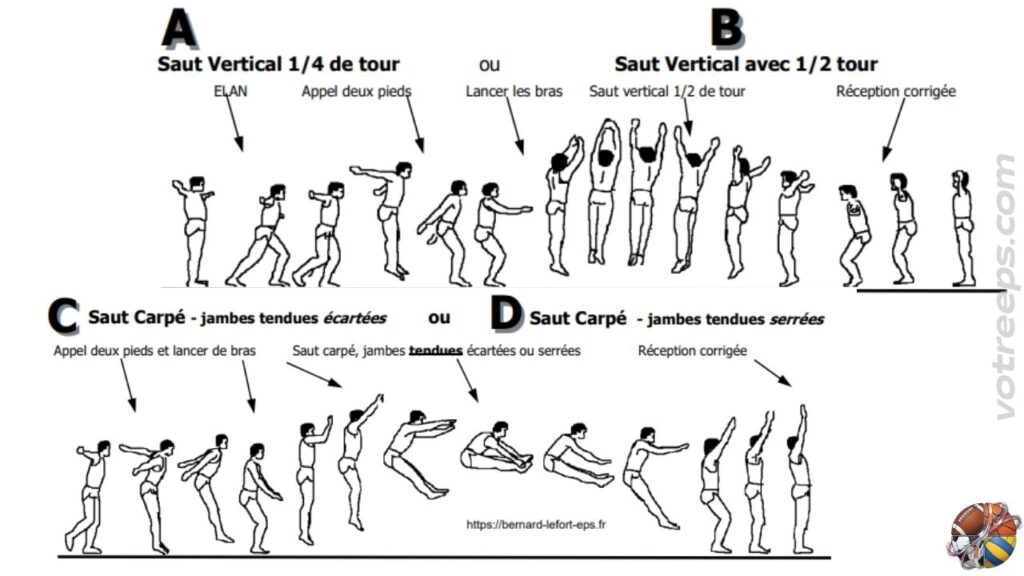 Quatre mouvements différents pour quatre niveaux différents de gymnastique au sol.