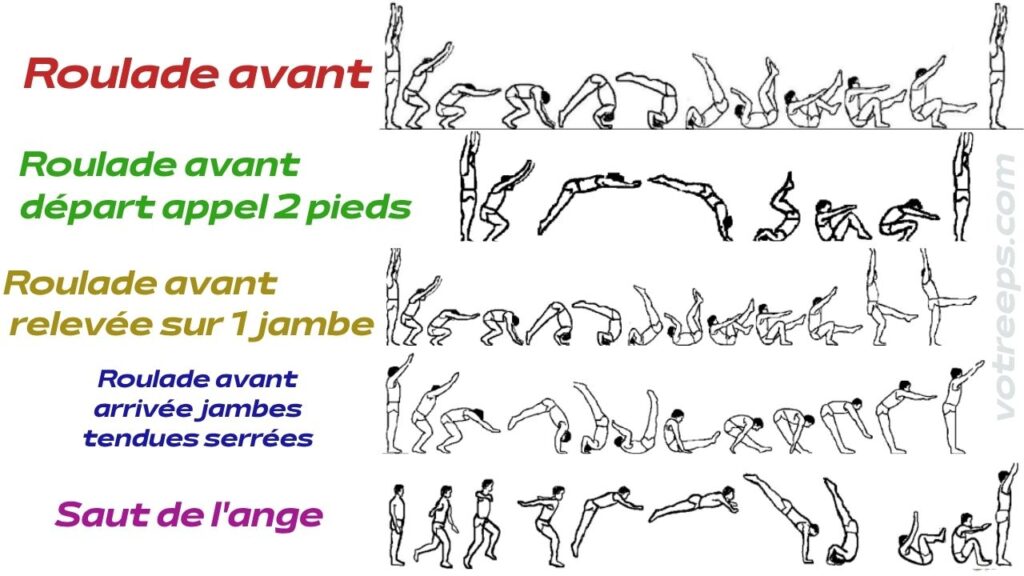 Séquence du mouvement du roulade vers l’avant