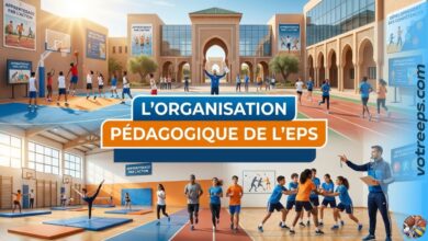 L'Organisation Pédagogique de l'EPS