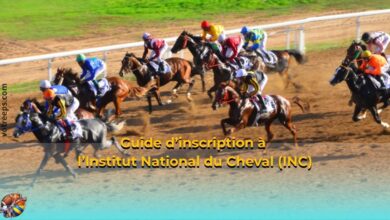 Guide d’inscription à l’Institut National du Cheval (INC)