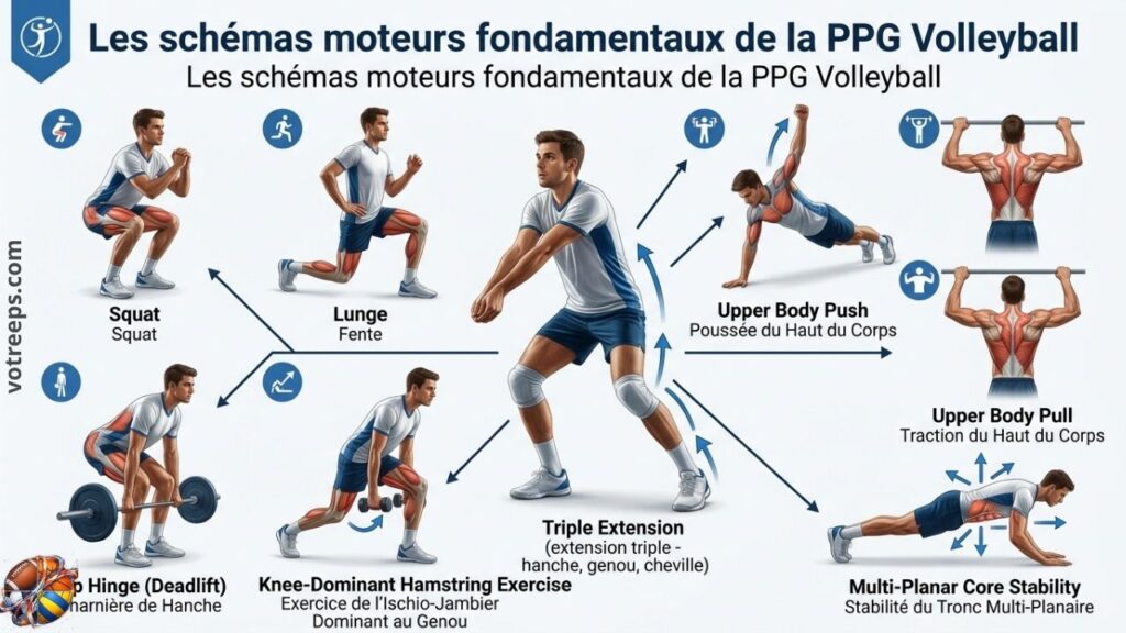 Les schémas moteurs fondamentaux de la PPG Volleyball