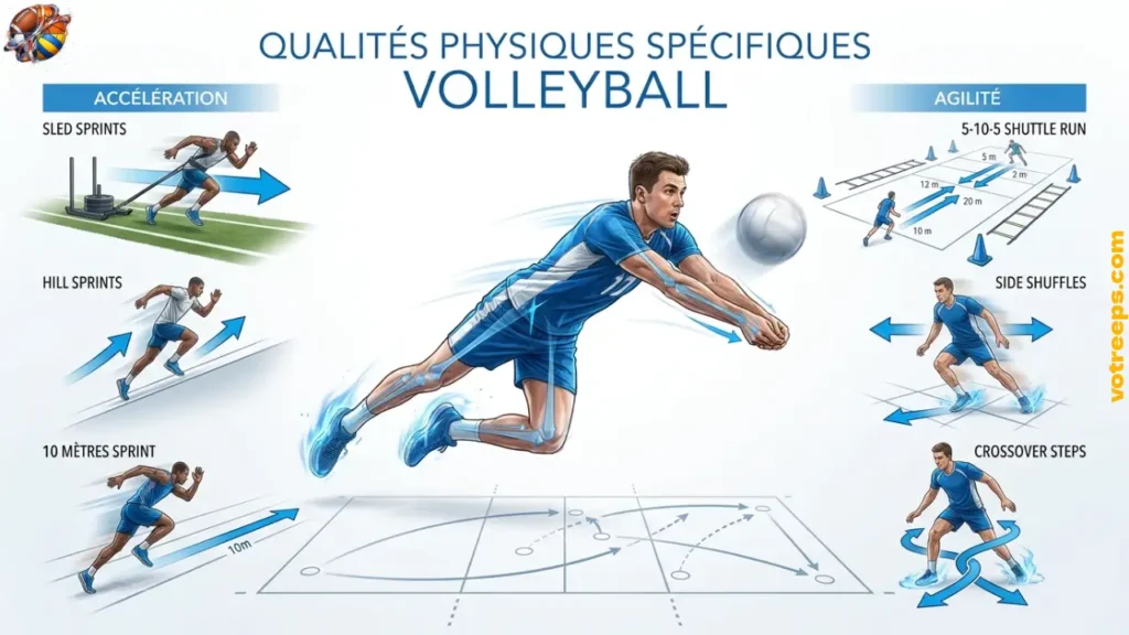 Qualités Physique Spécifique Volleyball